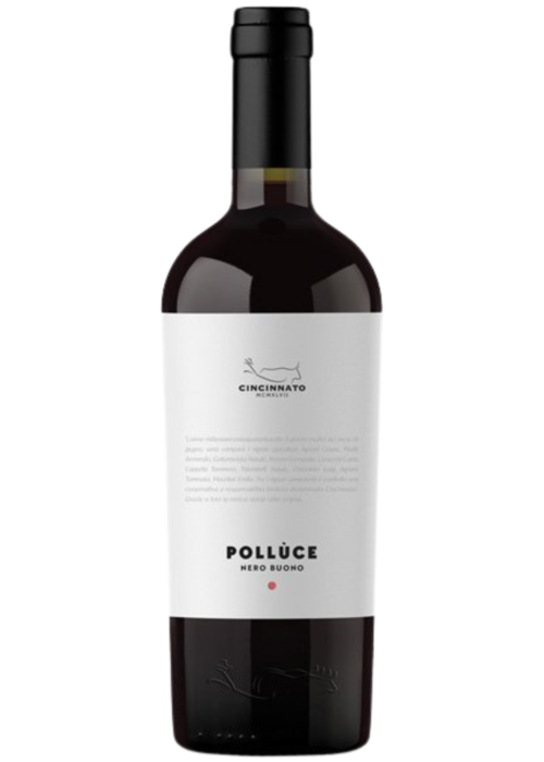 Cincinnato Nero Buono 'Polluce' IGT Lazio 2021