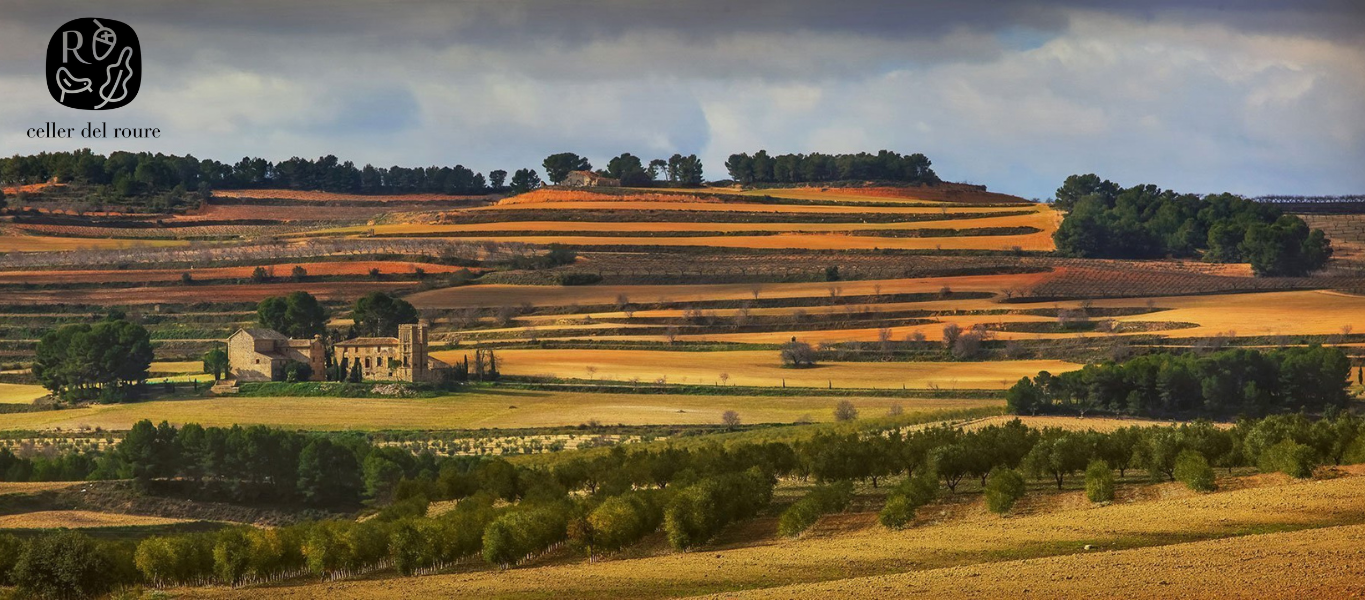 4.2.25  | PETIT WEEK IN WINE: Celler del Roure