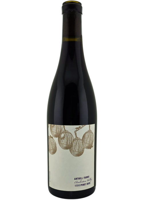 Anthill Farms Winery Anthill Farms Anderson Valley Pinot Noir 2022