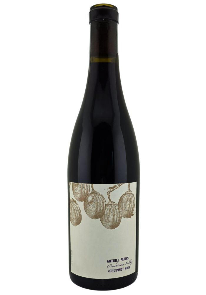 Anthill Farms Anderson Valley Pinot Noir 2022