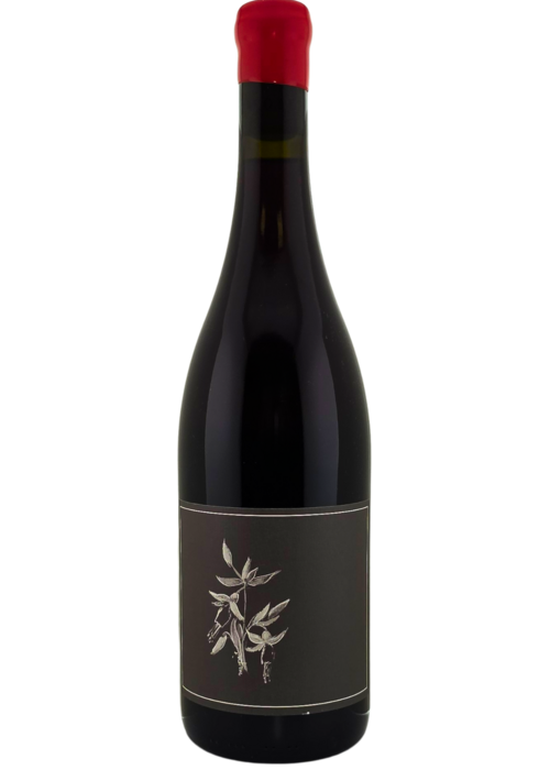 Arnot-Roberts Arnot-Roberts 'North Coast' Trousseau 2024