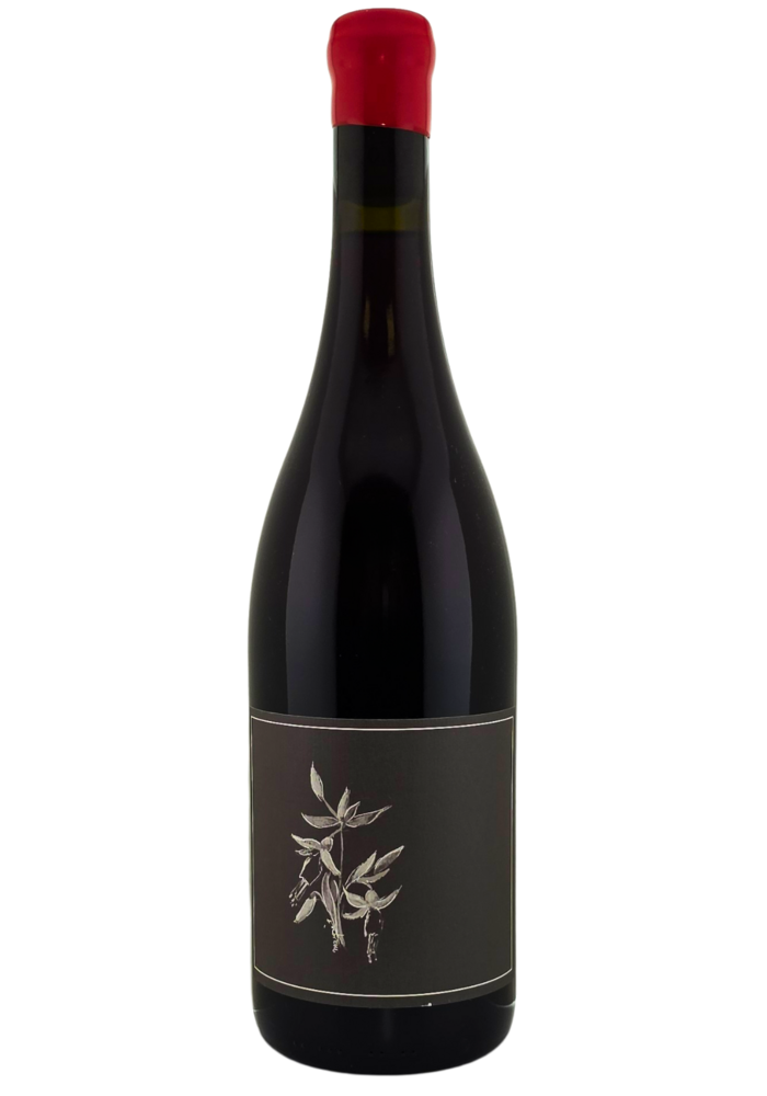 Arnot-Roberts 'North Coast' Trousseau 2024