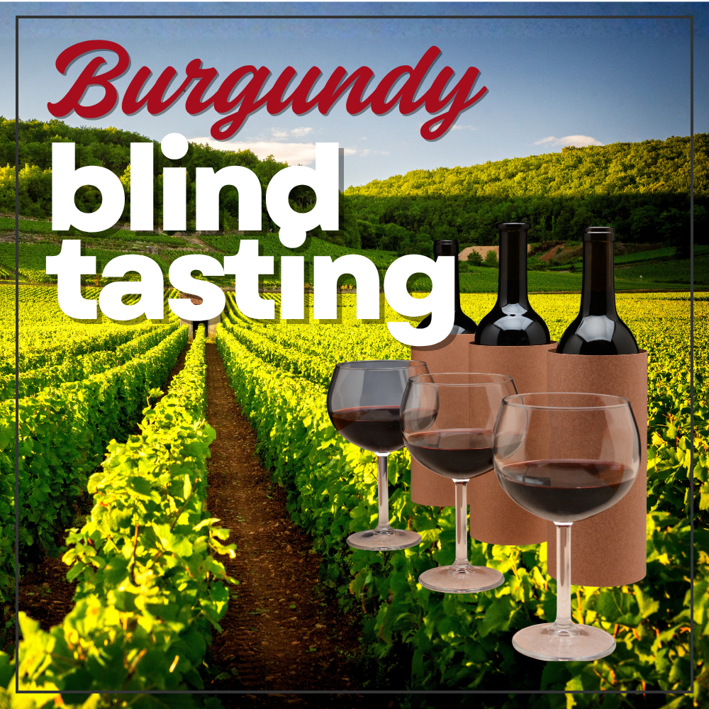 Burgundy vineyard 3 glasses with red wine