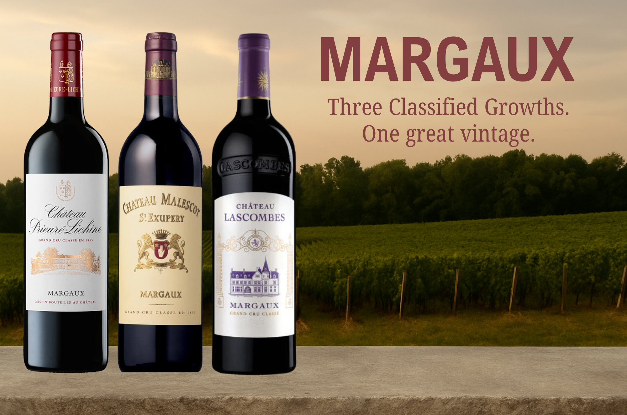 margaux-newsletter-121025 image