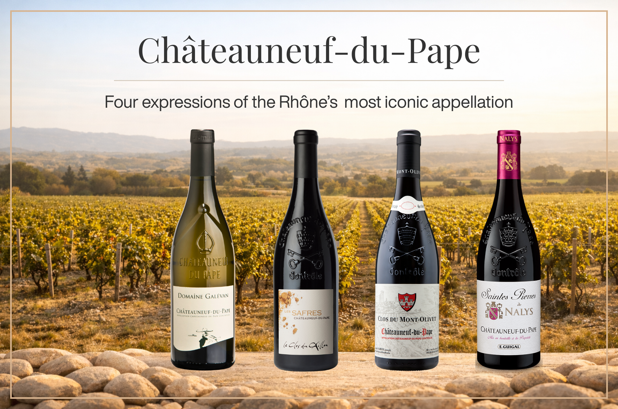 cndp-email-banner image