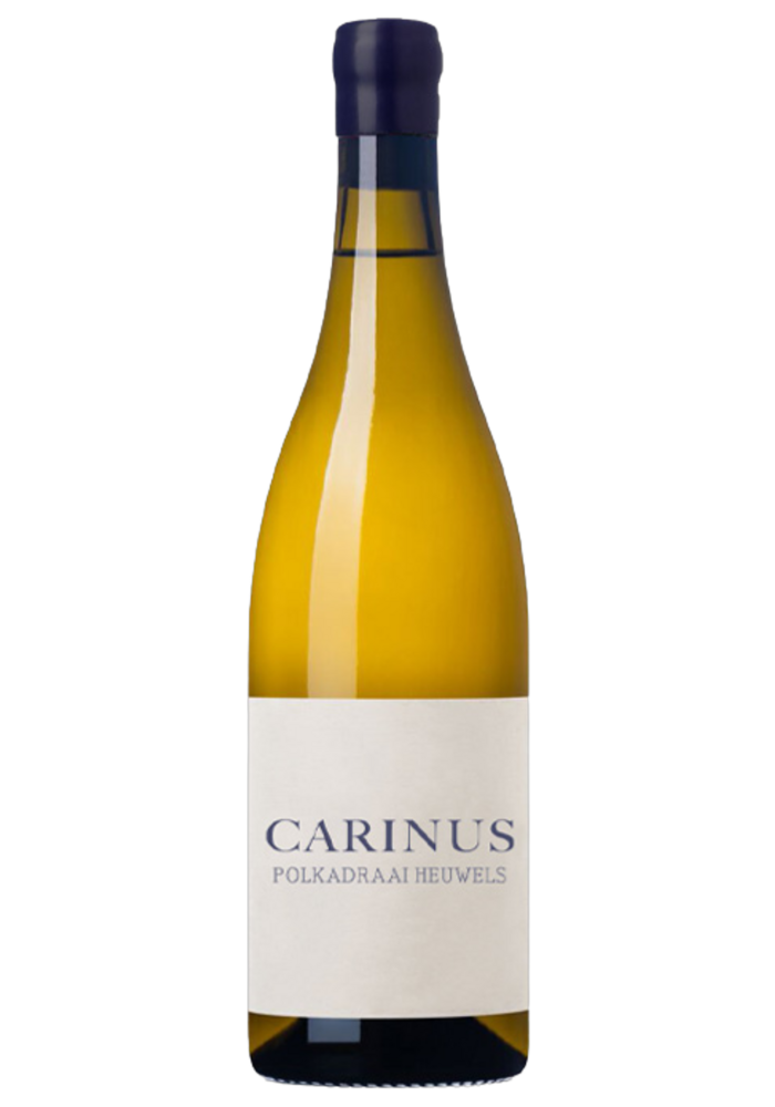Carinus Polkadraai Heuwels Chenin Blanc 2023/24