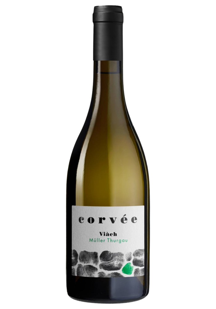 Corvée Cembra Trentino Müller-Thurgau Superiore 2023