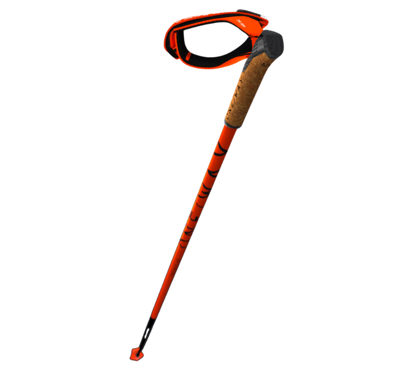 Get ONE WAY Premio 40 Lightweight Carbon Poles for Nordic