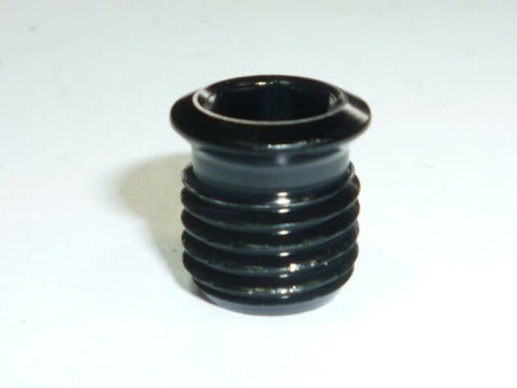 Specialized Specialized SBC Carbon Road Crank Plug Bolt Alloy 6mm