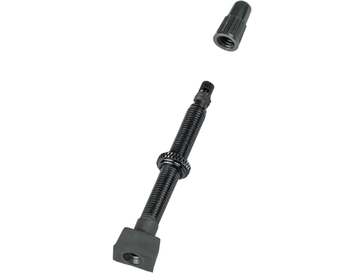 BONTRAGER Valve TLR rectangulaire Bontrager 55 mm noire