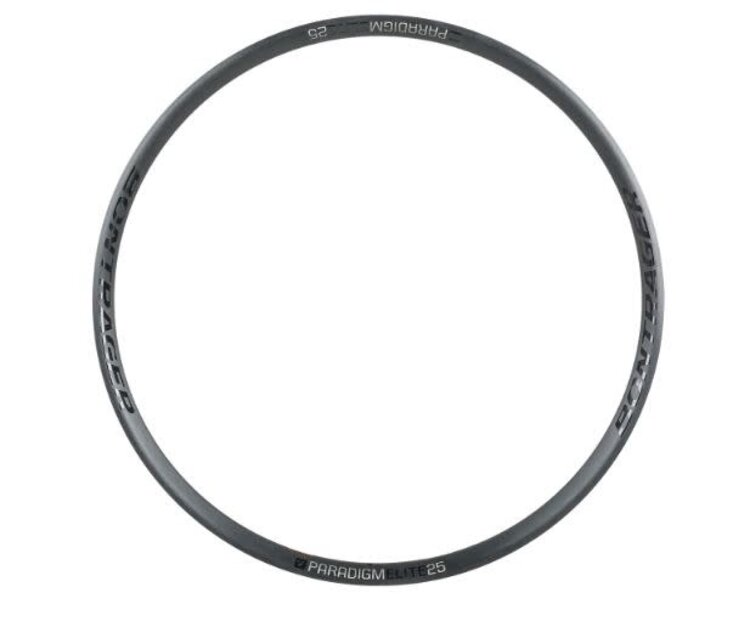 BONTRAGER Jante Bontrager Paradigm Elite 25 Disc 24 T