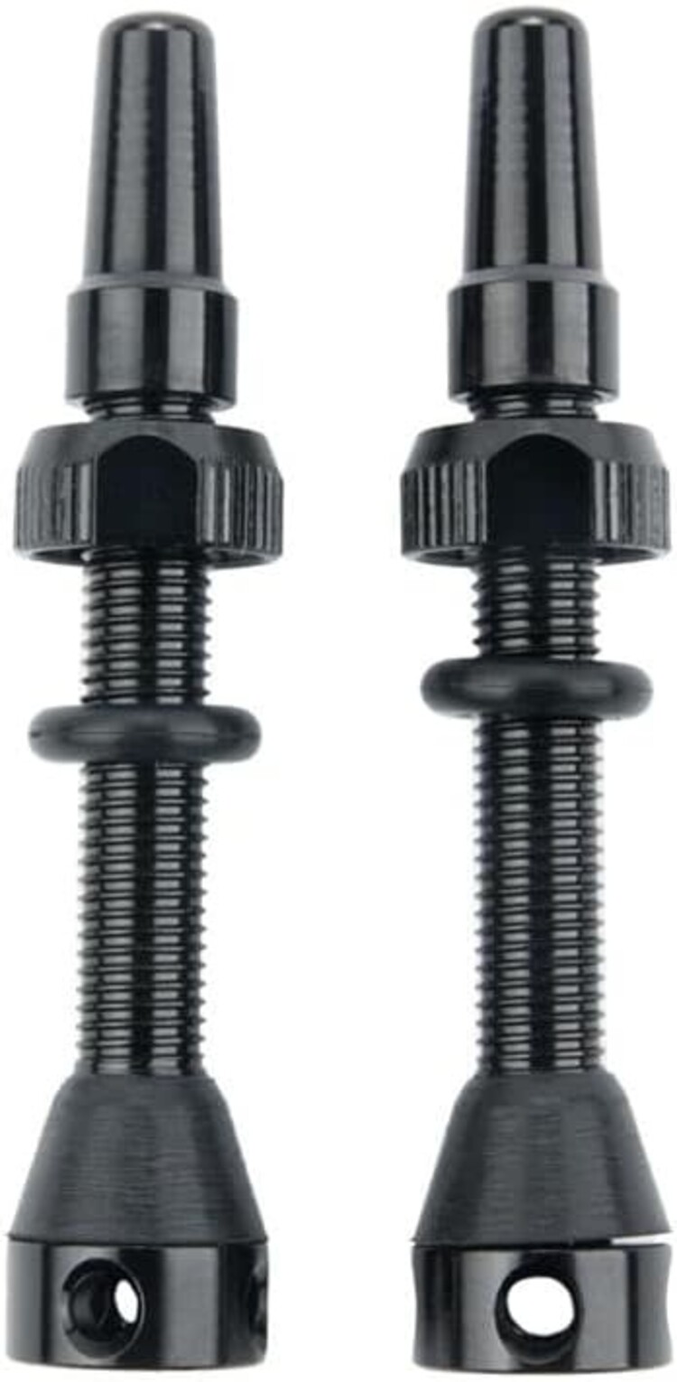 REYNOLDS Reynolds Tubeless Valve Stems 60mm  (Pair)