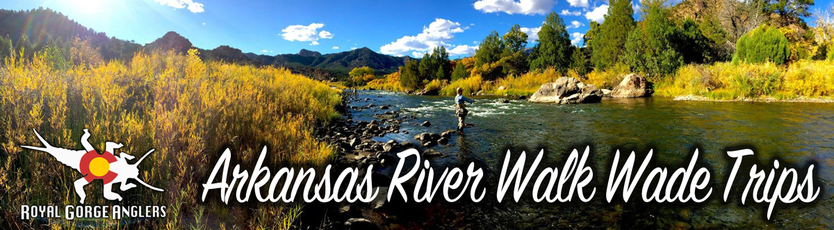 Arkansas River Guided Fly Fishing. Fishing Trip Arkansas River, Colorado.