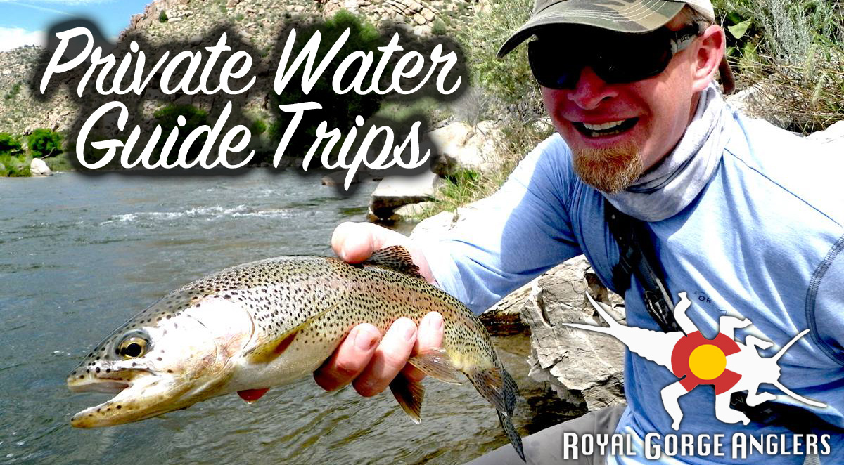 Arkansas River Private Water Fly Fishing Guide Trips. Guide Trip Arkansas River, Colorado.