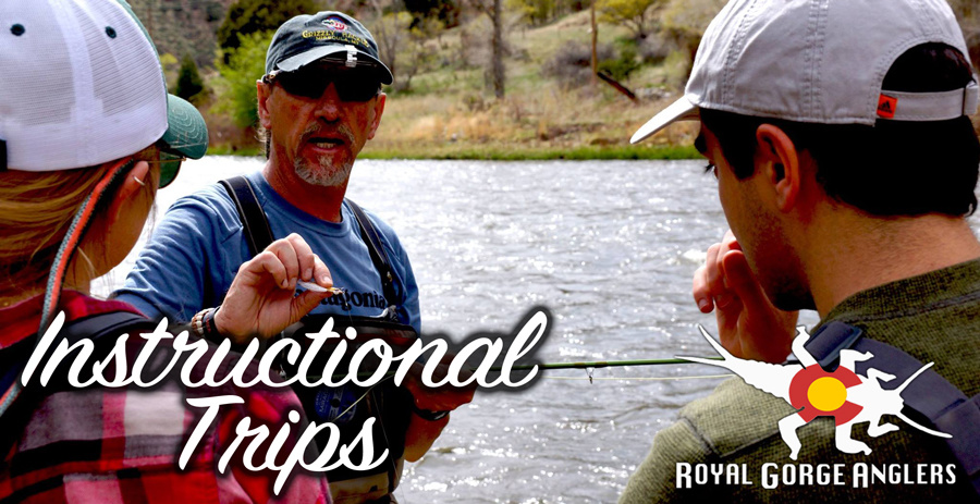 Learn to fly fish. Arkansas River Fly Fishing Guides