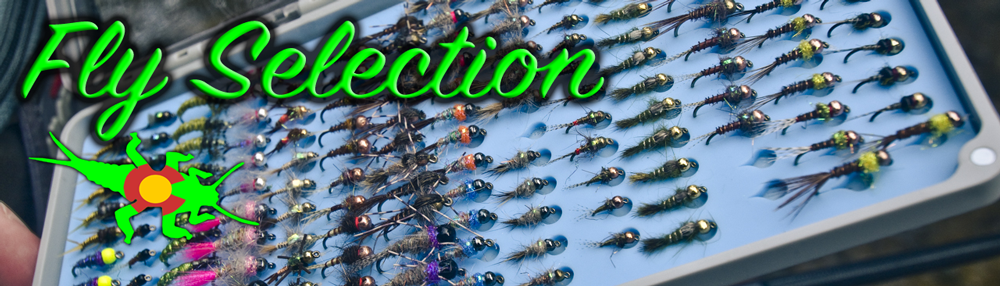 Learn Fly Selection with Royal Gorge Anglers