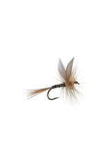 Umpqua Ginger Quill (3 Pack)