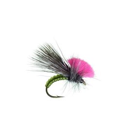 Umpqua Clown Shoe Caddis (3 Pack)