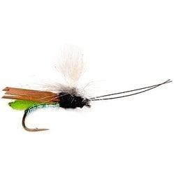 Umpqua Headlight Caddis (3 Pack)