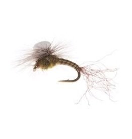 Umpqua Sprout (3 Pack)