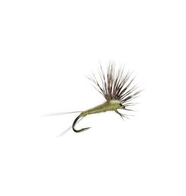 Umpqua Comparadun (3 Pack)