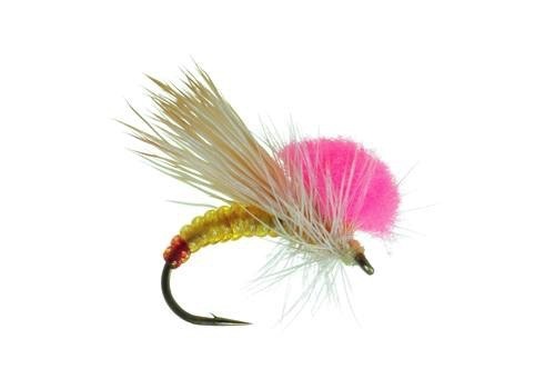 umpqua-clown-shoe-sally-3-pack.jpg