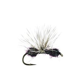 Umpqua Glitter Ant, Quigley, Black, 16, (3  Pack)