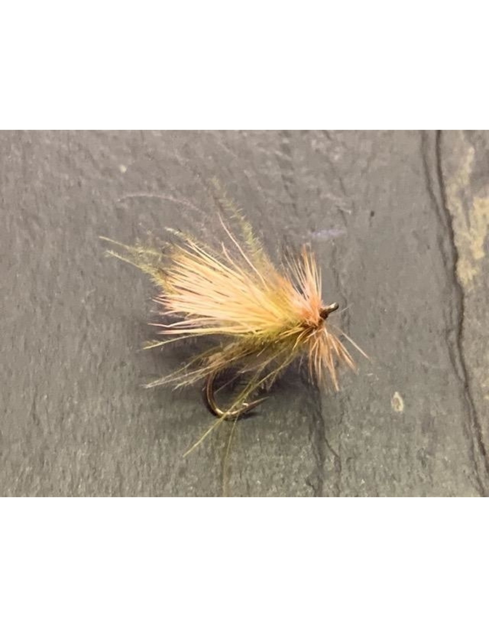 MFC Mimic Sedge (3 Pack)