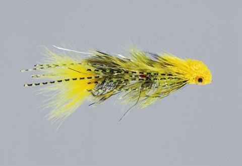 Mfc Galloup S Sex Dungeon Yellow 2 Royal Gorge Anglers