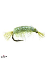 Umpqua Dorsey’s UV Scud (3 Pack)