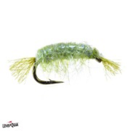 Umpqua Dorsey’s UV Scud (3 Pack)