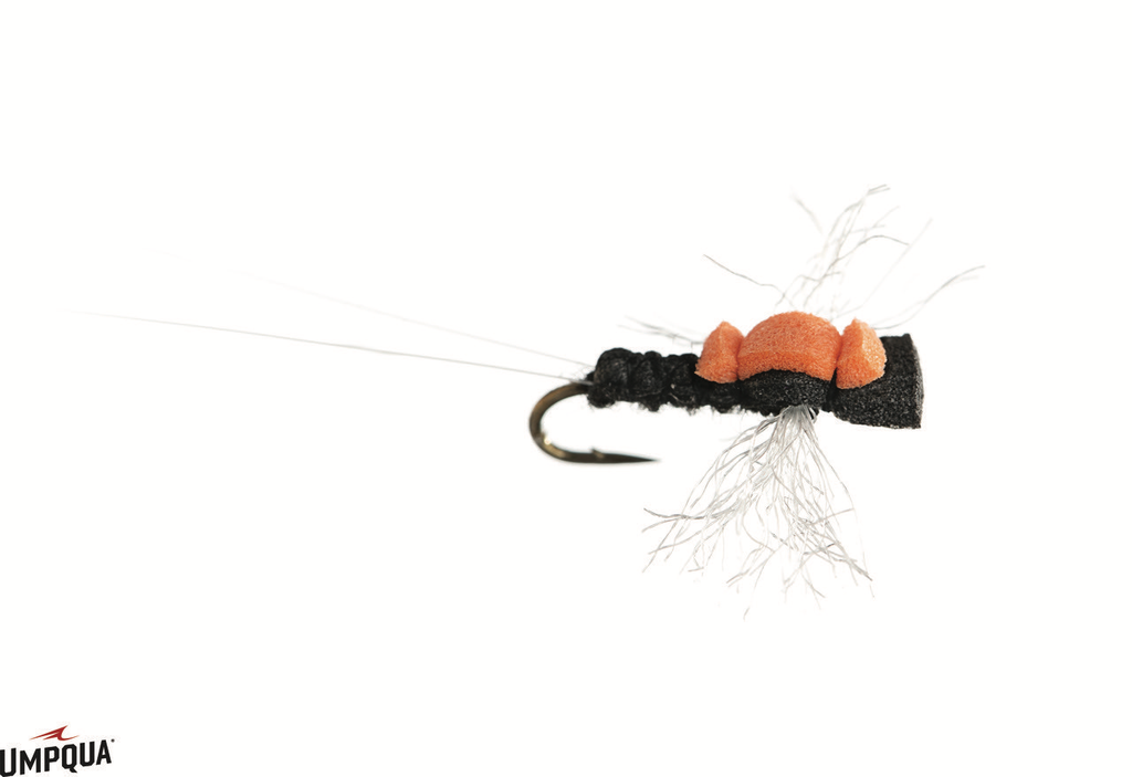 Spey, Fly Line & Fly Fishing Product Reviews: Spey Doctor