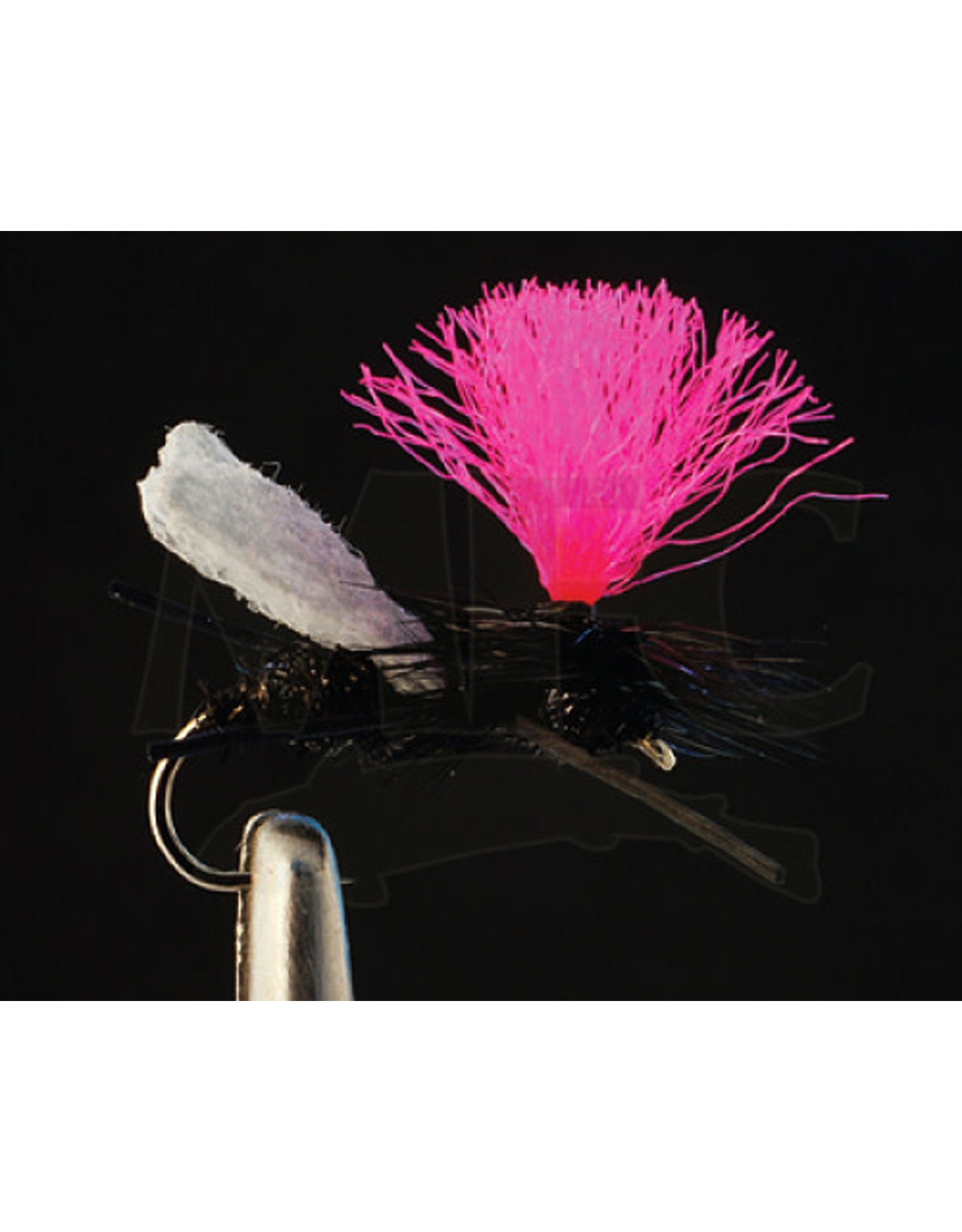 MFC Sparkle Flying Ant Black (3 Pack)