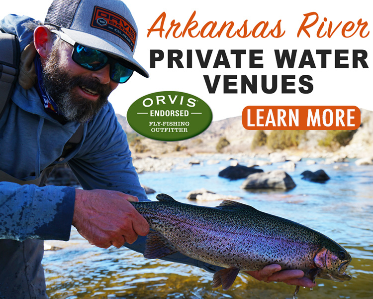 Arkansas River Fly Fishing Report Royal Anglers