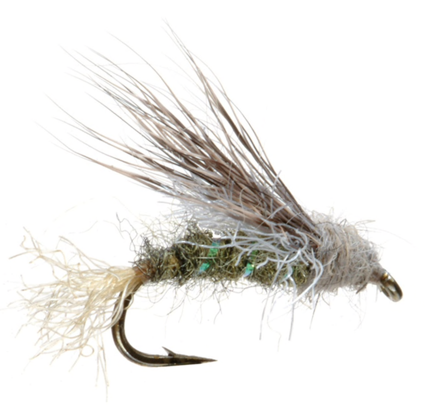 Edible Caddis Emerger Royal Anglers