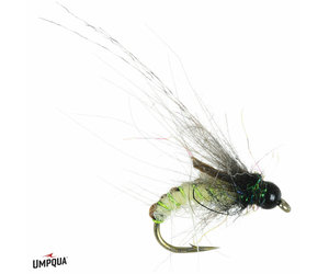 ミュージック pupa floating 6 pupas Live in Tokyo 2008 umpqua-catastrophic-pupa-16-3-