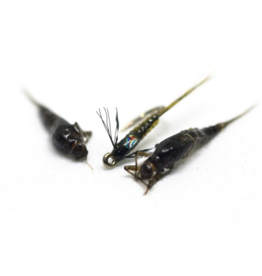 Umprqua Mini Leech Jig Black 14 (2 pack) - Royal Gorge Anglers