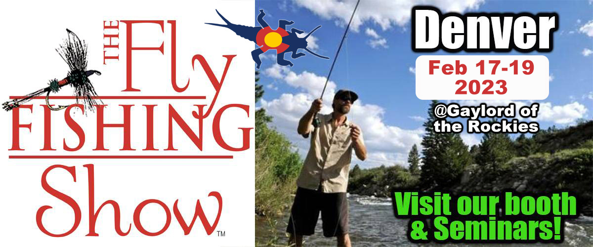 South Platte River Fly Fishing Report Royal Anglers