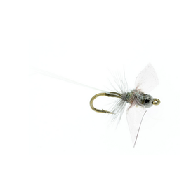 Fly Fishing Flies by Colorado Fly Supply - Kryptonite Caddis Fly