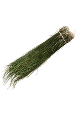 Wapsi Wapsi Strung Peacock Herl 1/8 oz