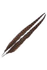 Wapsi Wapsi Ringneck Pheasant Tail Pairs