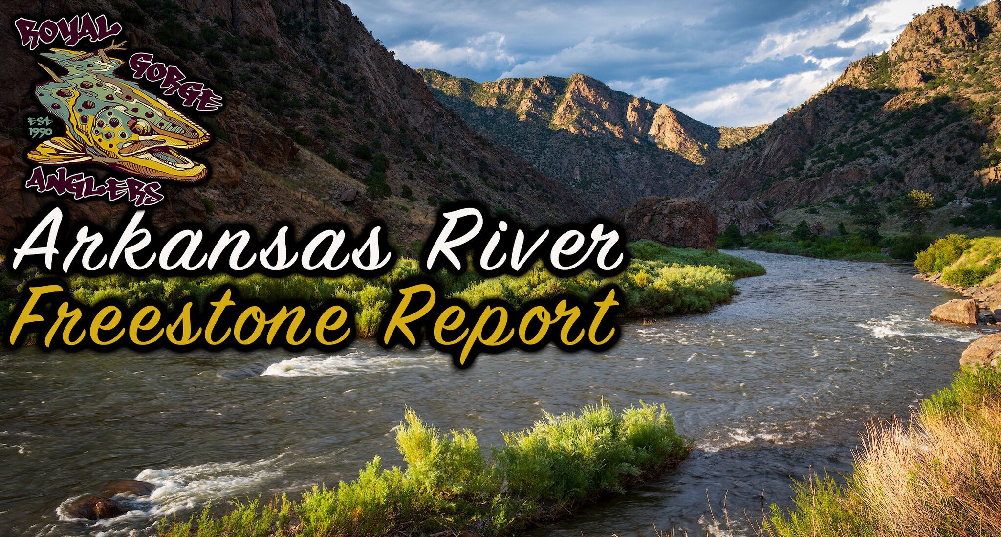 Arkansas River Fishing Report