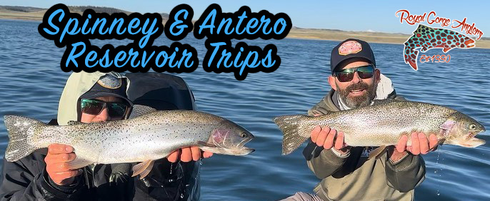 Guided Fly Fishing on Spinney & Antero Reservoir - Royal Gorge Anglers