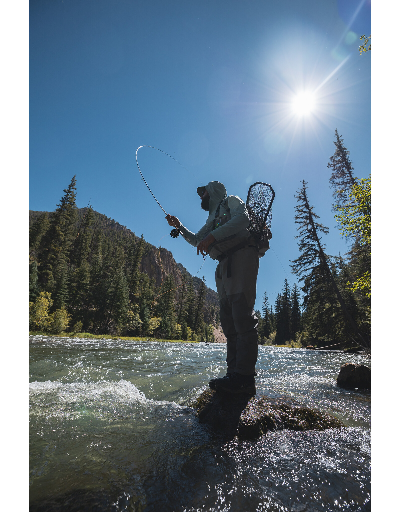 NEW Orvis Helios D 9' 6wt Fly Rod - Royal Gorge Anglers