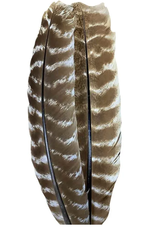 Wapsi Wapsi Ozark Turkey Quill