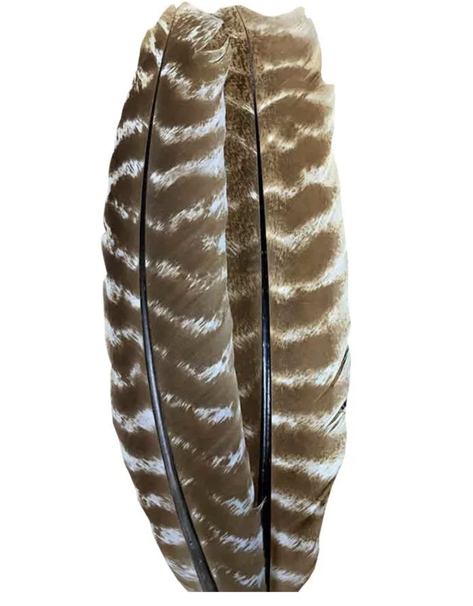 Wapsi Wapsi Ozark Turkey Quill