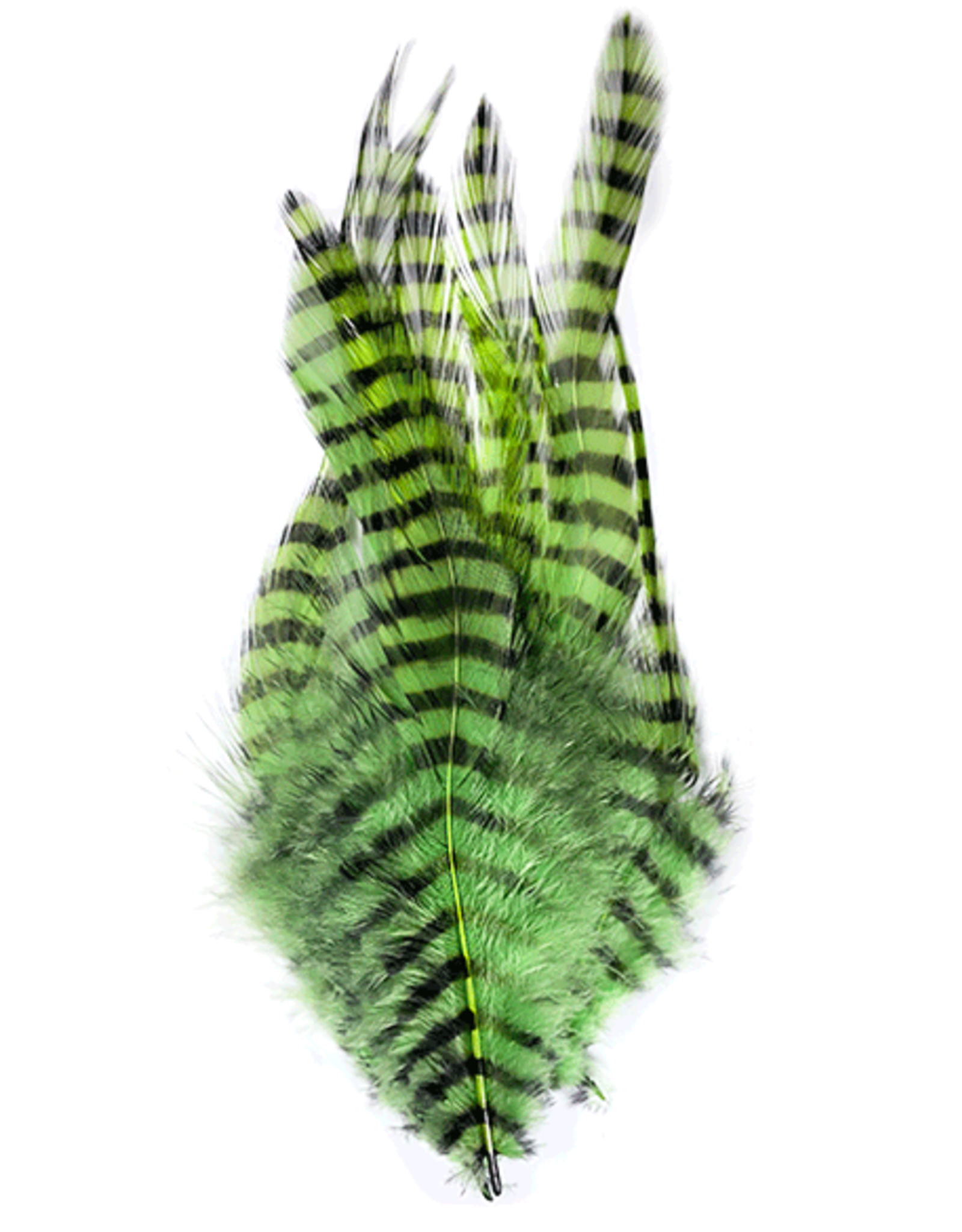 Montana Fly Company MFC Barred Saddle Hackle