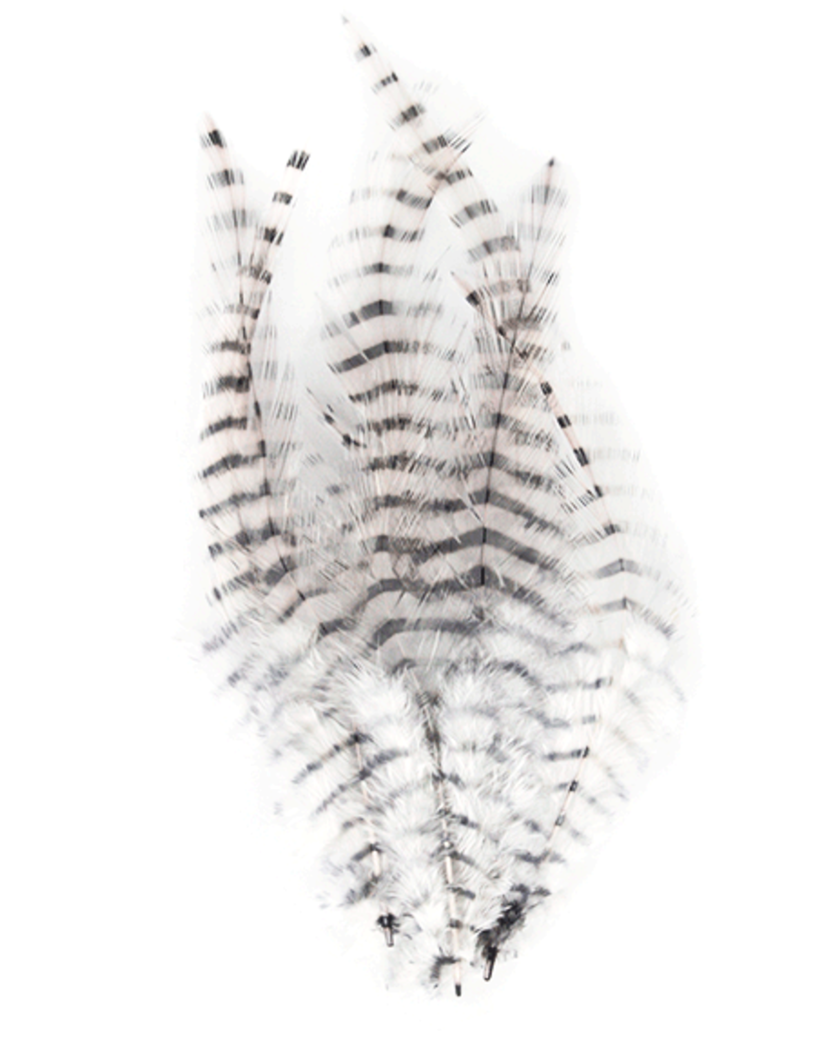 Montana Fly Company MFC Barred Saddle Hackle