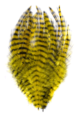 Montana Fly Company MFC Barred Saddle Hackle