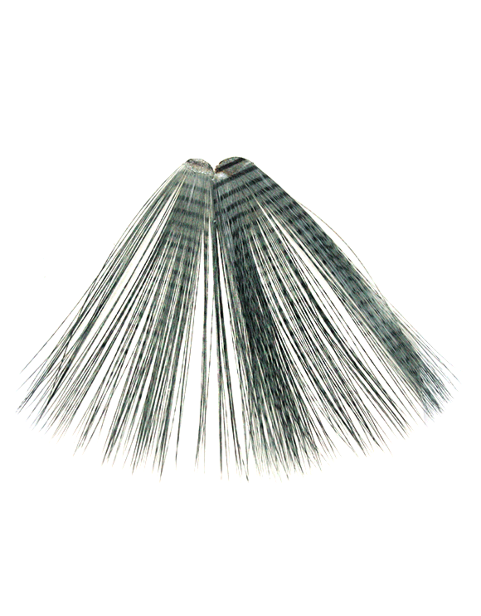 Montana Fly Company MFC Micro-Barred Fibbetts
